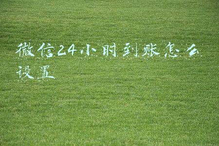 微信设置24小时到账怎么设置(微信怎么设置转账24小时到账？简单六步即可轻松实现)