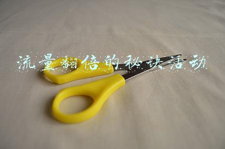 流量翻倍的秘诀活动