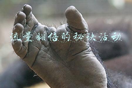 流量翻倍的秘诀活动