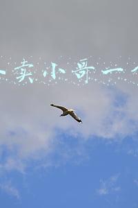 上海外卖小哥一个月挣多少