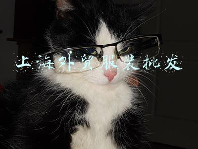 上海外贸服装批发