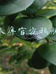 优衣库官方旗舰店京东(优衣库京东官方旗舰店关店 运营仅3个月淘宝施压？)