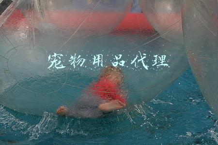 宠物用品代理