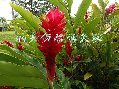 qq身份验证失败