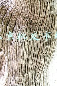 北京批发市场大全(北京的大型批发市场都在哪里)