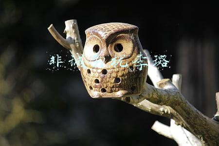 非诚勿扰李璐