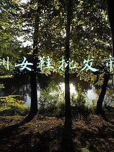 广州女鞋批发市场