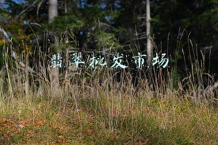 翡翠批发市场