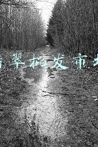 翡翠批发市场