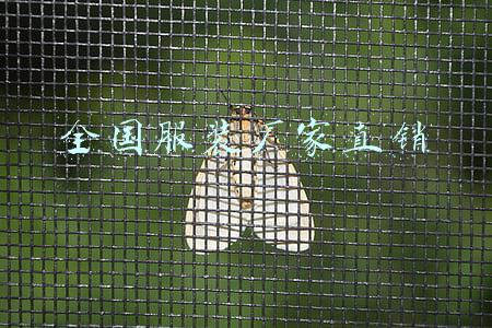 全国服装厂家直销