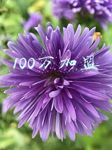100万加盟项目(产经报道｜临期食品专卖店受追捧 88万加盟费月营业额可达22万)