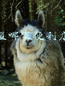 加盟哪家便利店好