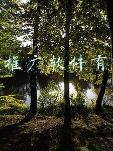 网络推广软件有哪些