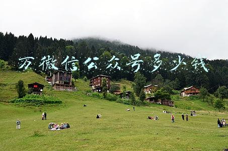 万微信公众号多少钱