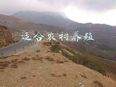 适合农村养殖
