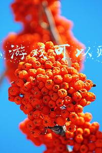玩什么游戏可以赚人民币