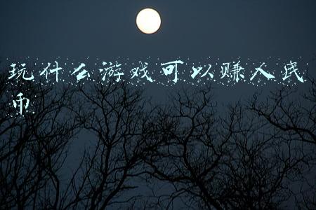 玩什么游戏可以赚人民币