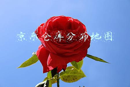 京东仓库分布地图