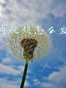 抖音上收藏的视频怎么发到朋友圈(抖音运营的技巧，你真的了解吗？那就看这里，我告诉你)
