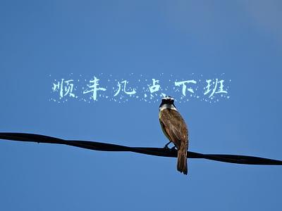 顺丰几点下班