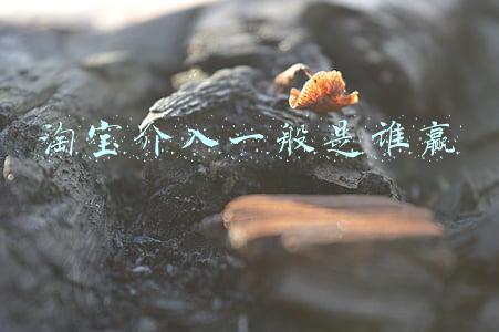 淘宝介入一般是谁赢卖家店面关闭(淘宝买到三无产品，投诉无门)