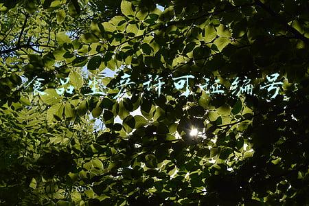 食品生产许可证编号是什么意思(年货怎么买？读懂食品标签很重要)