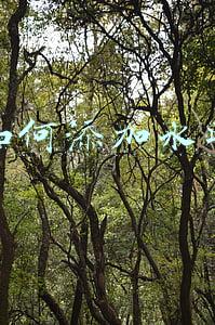 如何添加水印