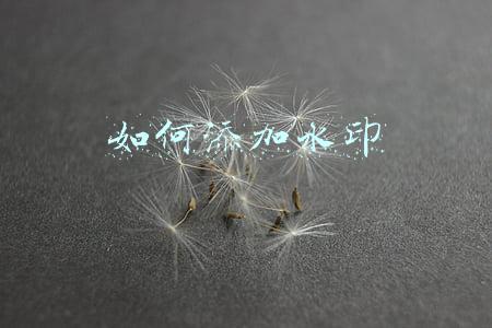 如何添加水印