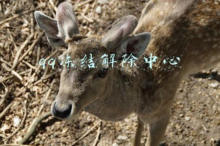 qq冻结解除中心