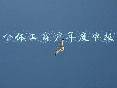 个体工商户年度申报