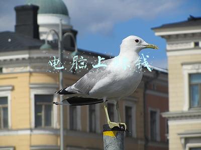 电脑上赚钱