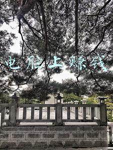 电脑上赚钱