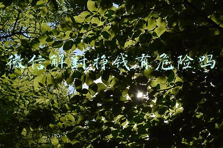 微信解封挣钱有危险吗