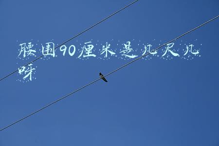 腰围90厘米是几尺几呀
