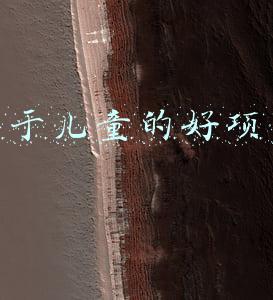 关于儿童的好项目