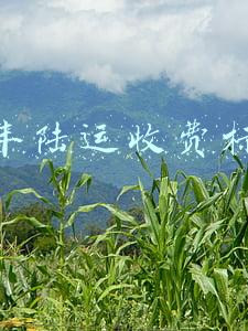 顺丰陆运收费标准
