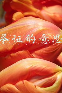 举证的意思