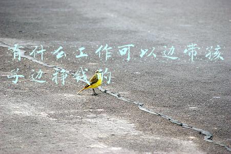 边带孩子边挣钱的工作有哪些(找什么工作带孩子挣钱两不误？)