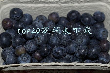 top20万词表下载无线端(算法新闻汇编｜亚洲最大AI超算临港投运，脑机接口走向临床)