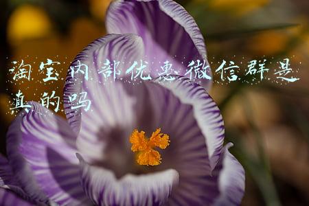 淘宝内部优惠微信群是真的吗