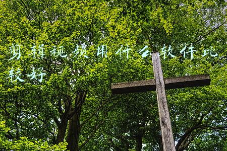 剪辑视频用什么软件比较好