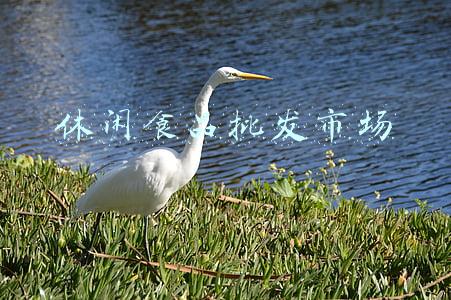 休闲食品批发市场