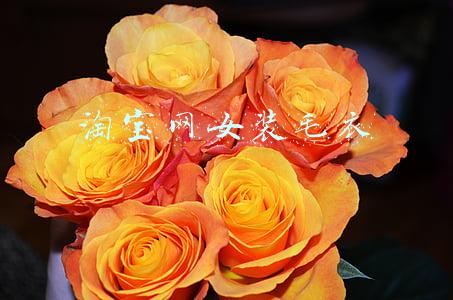 淘宝网女装毛衣