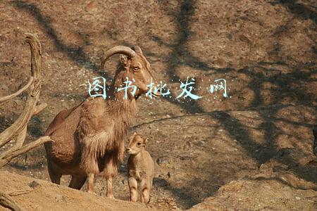 图书批发网
