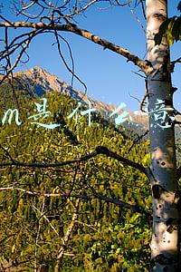 什么是CRM(CRM是什么，你有认真了解过CRM吗？)