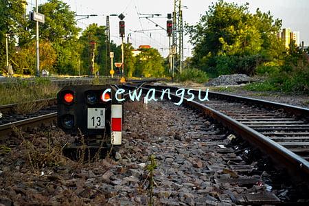 cewangsu