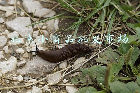 北京小商品批发市场