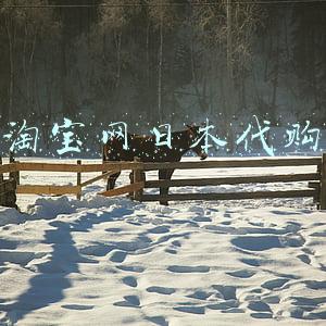 淘宝网日本代购