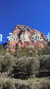 全自动挂机软件赚钱免费qq群(QQ挂机赚钱项目，成本低到几毛钱一个，月入10000+)