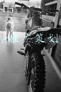 app推广策划案